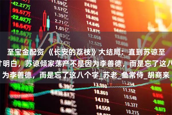 至宝金配资 《长安的荔枝》大结局：直到苏谅至死不肯原谅李善德，才明白，苏谅倾家荡产不是因为李善德，而是忘了这八个字_苏老_鱼常侍_胡商来