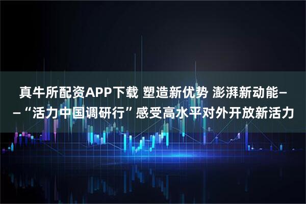 真牛所配资APP下载 塑造新优势 澎湃新动能——“活力中国调研行”感受高水平对外开放新活力