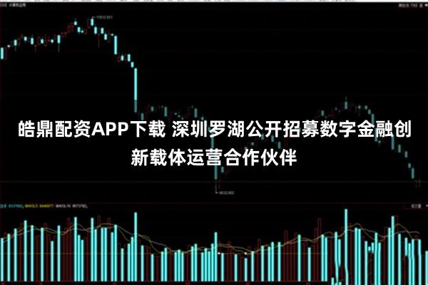 皓鼎配资APP下载 深圳罗湖公开招募数字金融创新载体运营合作伙伴