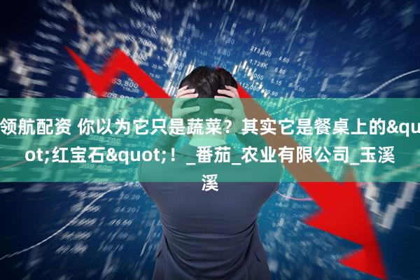 领航配资 你以为它只是蔬菜？其实它是餐桌上的"红宝石"！_番茄_农业有限公司_玉溪