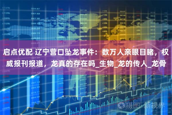 启点优配 辽宁营口坠龙事件：数万人亲眼目睹，权威报刊报道，龙真的存在吗_生物_龙的传人_龙骨